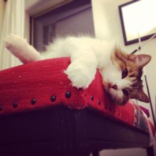 My view from the floor!  