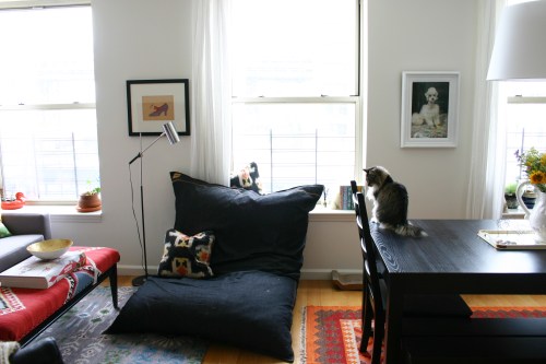 My new favorite thing...our Jaxx Beanbag! 