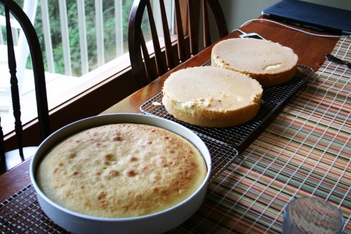 Some of the many layers, cooling on the table.
