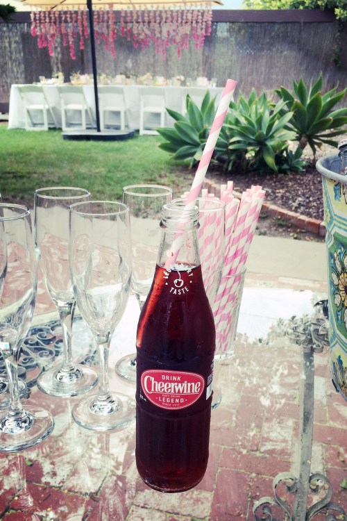 Our non-alcoholic beverage was the southern staple, Cheerwine. If you haven't had it, I'm SO sorry! 
