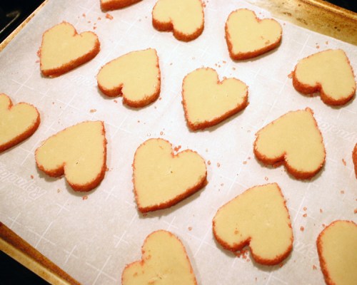 All lined up and ready to bake. These don't spread much so you can bake them pretty close together.