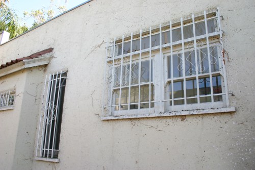 Once the vines were down, it was clear that the painting job would be a big one! 