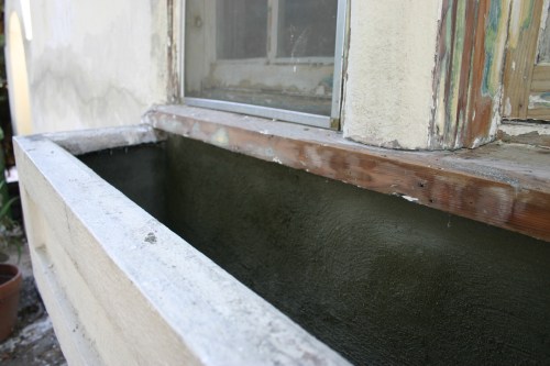 I was already dying to put flowers in! 